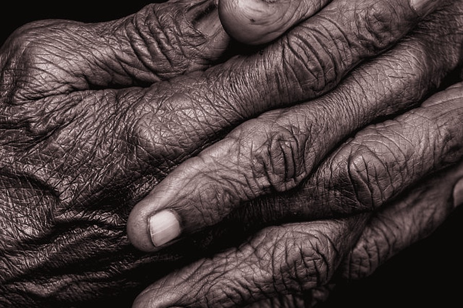 One Single Act Gestures Of Kindness, Compassion, And Courage That Change Us And The World