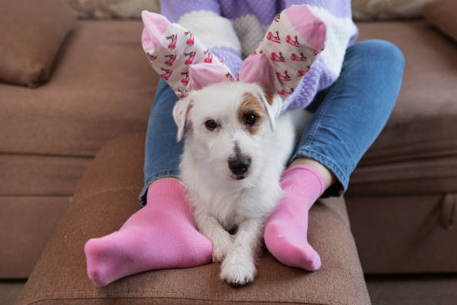 Why More Residents Are Turning To Online ESA Letters For Mental Health Support