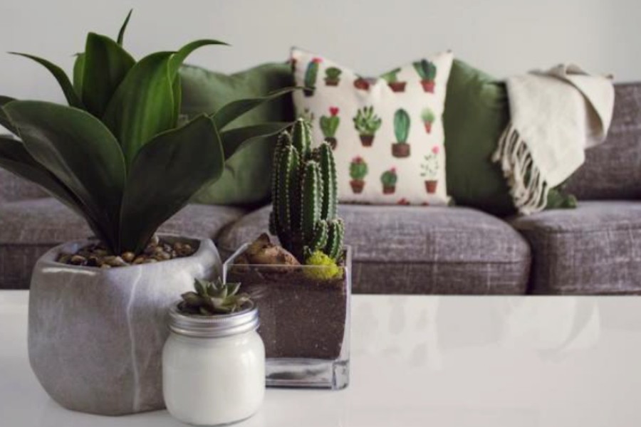 Home Decor: Smart And Stylish Ways To Transform Your Living Space