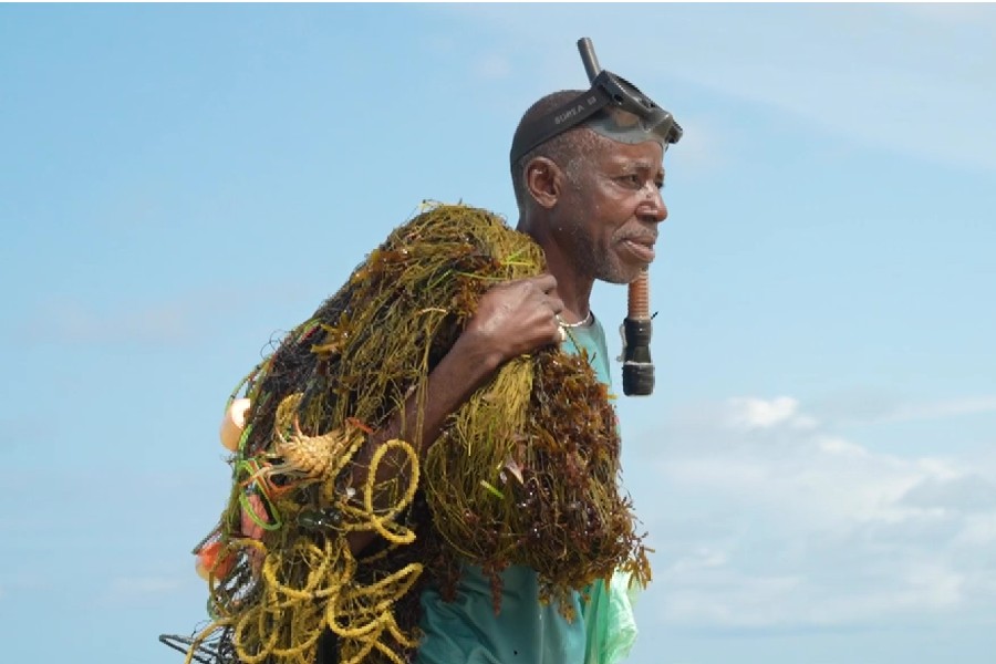 Africa: Seeing The Unseen – How Canon Is Protecting East Africa’s Coral Reefs