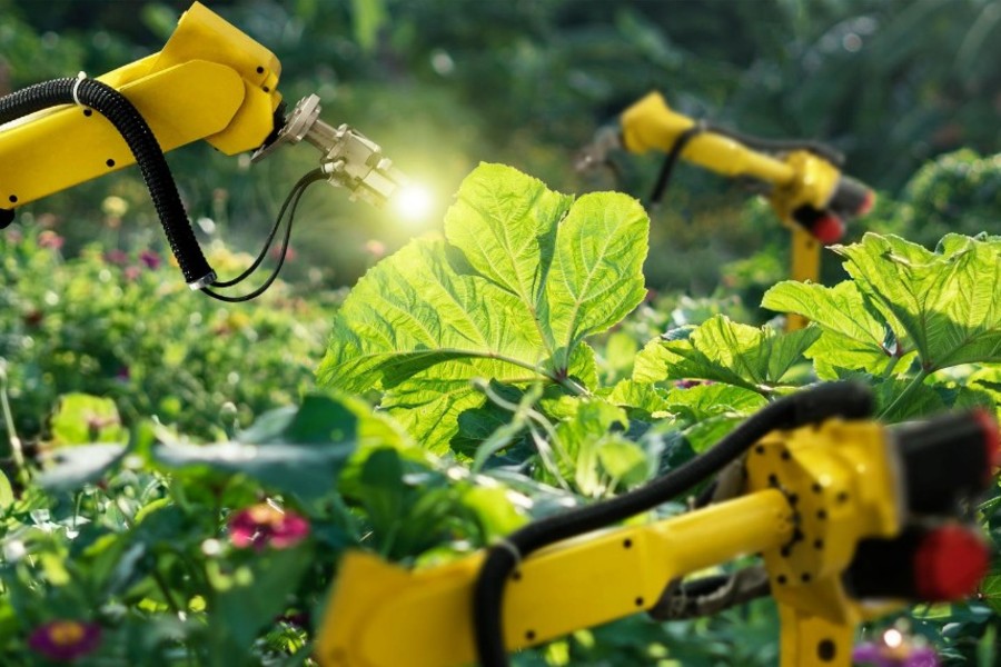 Industrial Humidification Solutions In Modern Agriculture Systems