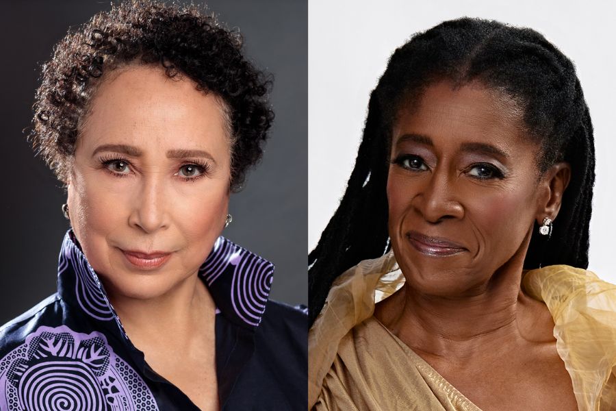 Harlem Arts Leaders Virginia Johnson And Akua Dixon To Headline Special Fundraiser At The Africa Center