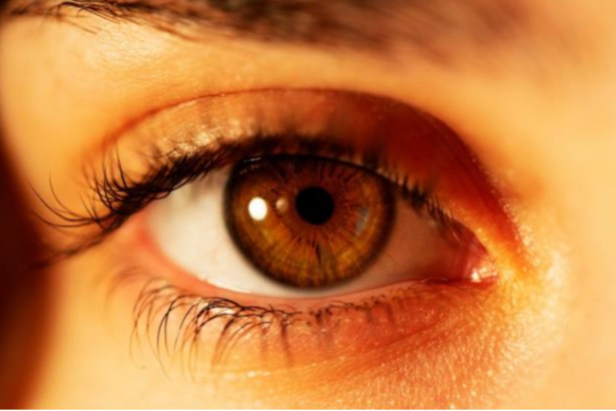 7 Signs Your Eyelashes Need Extra Care