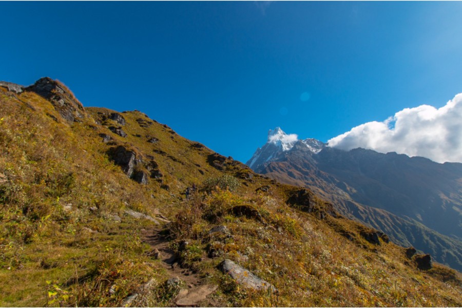 Birdwatching And Exploration On The Mardi Himal Trail