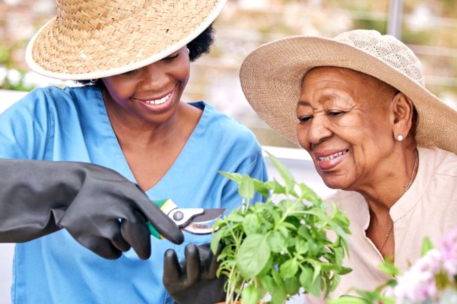 How Dedicated In-Home Caregiving Helps Seniors Preserve Dignity