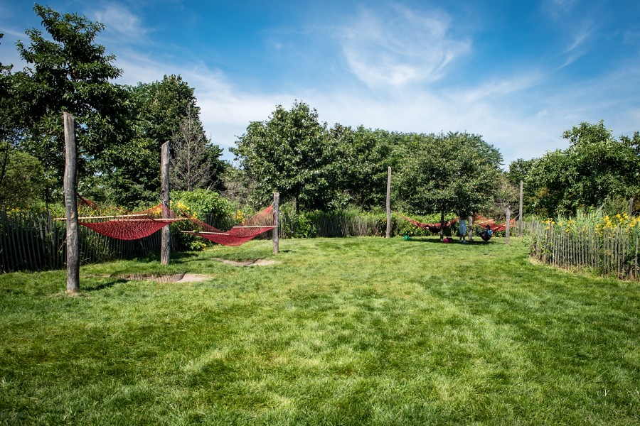 Governors Island Tests Next-Generation Environmental Monitoring in New Chestnut Carbon Partnership